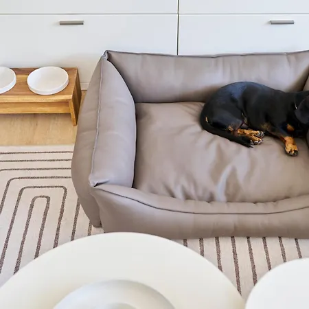 公寓 Haus Nordstrand 诺德奈